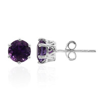 Sambia-Amethyst-Silberohrringe
