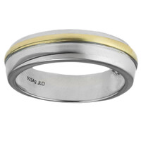 Silberring
