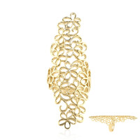 Silberring