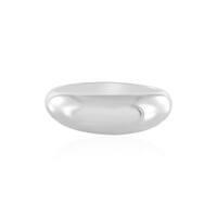 Silberring