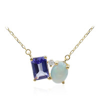 Edelstein-Goldcollier (CIRARI)