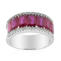 AAA-Mosambik-Rubin-Goldring (CIRARI)
