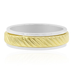Silberring (Nan Collection)