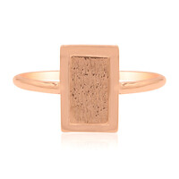 Silberring