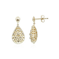 I1 Champagner-Brillant-Goldohrringe (Ornaments by de Melo)