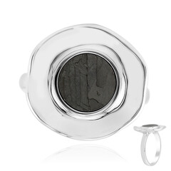 Aletai-Meteorit-Silberring