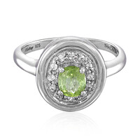 Paraiba-Turmalin-Silberring