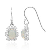 Welo-Opal-Silberohrringe