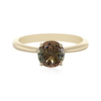 Oregon-Sonnenstein-Goldring
