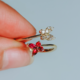 AAA-Mosambik-Rubin-Goldring (CIRARI)