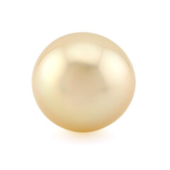Goldene Kabira-Südseeperle (TPC)