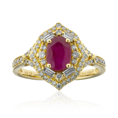 Mosambik-Rubin-Goldring (CIRARI)