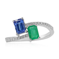Edelstein-Goldring (CIRARI)
