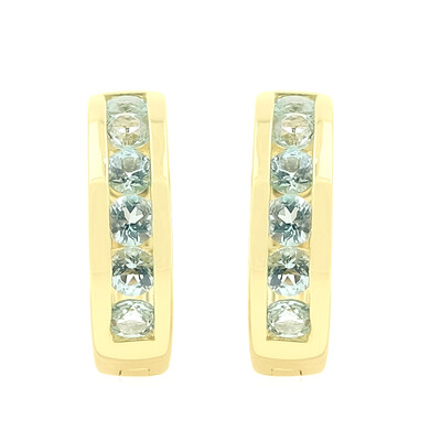 Nigerianischer Paraiba-Turmalin-Goldohrringe