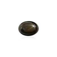 Schwarzer Stern-Saphir 1,305 ct