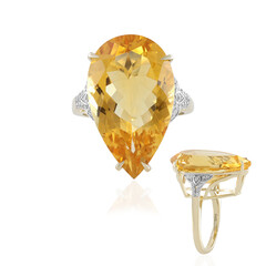 Madeira-Citrin-Goldring