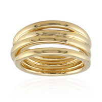 Silberring