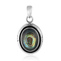 Abalone-Muschel-Silberanhänger (Art of Nature)