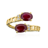 Mosambik-Rubin-Goldring (CIRARI)