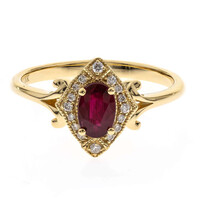 AAA-Mosambik-Rubin-Goldring (CIRARI)