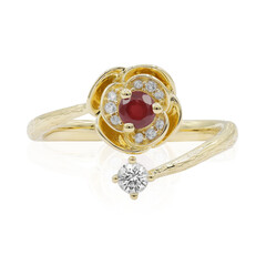 AAA-Mosambik-Rubin-Goldring (CIRARI)