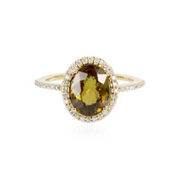 Sphen-Goldring (AMAYANI)