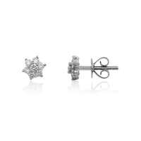 Lupenreiner (F) Brillant-Platinohrringe (LUCENT DIAMONDS)