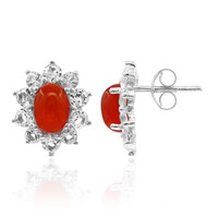 Äthiopischer Roter Opal-Silberohrringe