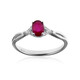 AAA-Mosambik-Rubin-Goldring (CIRARI)