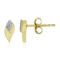 Lupenreiner (F) Brillant-Goldohrringe (LUCENT DIAMONDS)