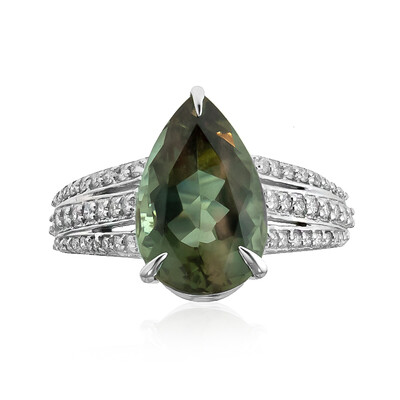 Oregon-Sonnenstein-Goldring (AMAYANI)