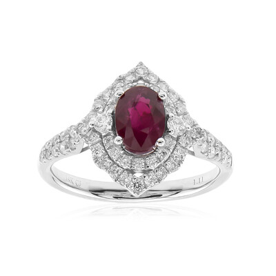 AAA-Mosambik-Rubin-Goldring (CIRARI)
