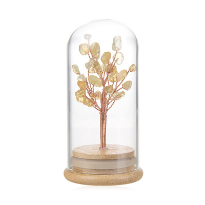 Citrin-Baum