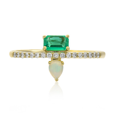 Edelstein-Goldring (CIRARI)