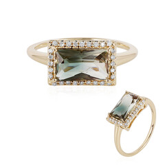 Oregon-Sonnenstein-Goldring (AMAYANI)