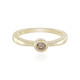 SI2 Champagner-Brillant-Goldring