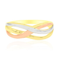 Silberring