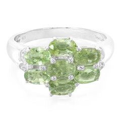 Paraiba-Turmalin-Silberring