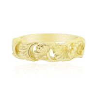 Silberring