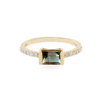 Oregon-Sonnenstein-Goldring (AMAYANI)