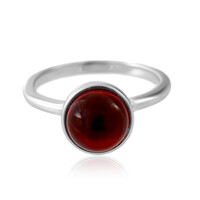 Roter Kolumbianischer Bernstein-Silberring