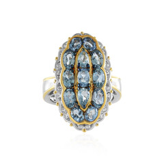 Tansania-Aquamarin-Silberring (Gems en Vogue)