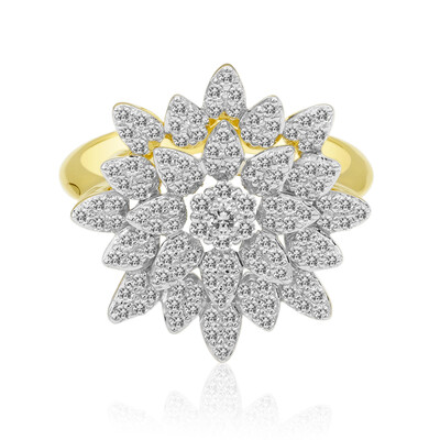 IF (D) Brillant-Goldring (Annette)