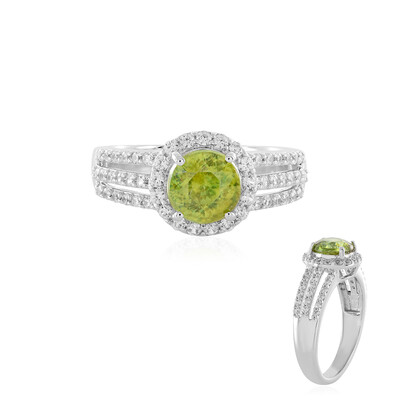 Sphen-Goldring