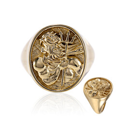 Silberring