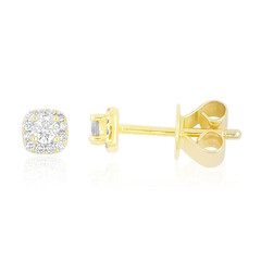 Lupenreiner (F) Brillant-Goldohrringe (LUCENT DIAMONDS)
