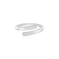Silberring