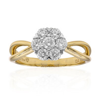 IF (D) Brillant-Goldring