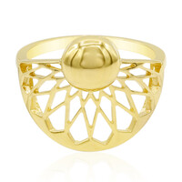 Silberring