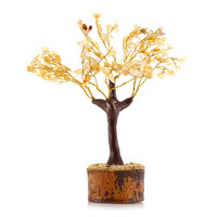 Citrin-Baum